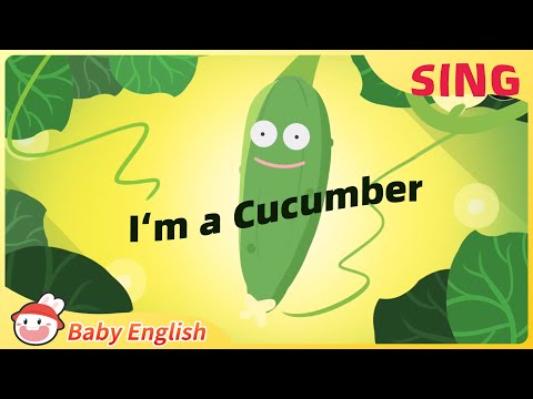 I M A Cucumber Fun To Sing Baby English Food
