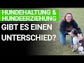  stephanie salostowitz  hundehaltung  hundeerziehung  gibt es einen unterschied 