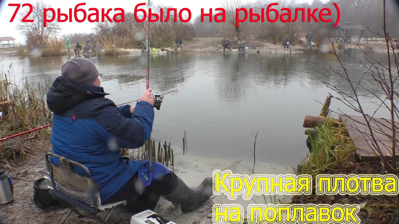 Плотва на волге