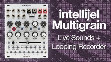 Intellijel Multigrain: Live Sounds and the Looping Recorder