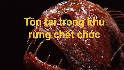 Phim review Tồn tại trong khu rừng chết chóc. #reviewphim #phimhay