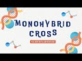 Monohybrid Cross Quiz