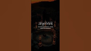 قرآن كريم #المصحف #راحة_نفسية #اكسبلور #دويتو #duet