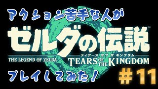 ゼルダの伝説ティアーズオブキングダム　＃11　リト村に行くはずが、寄り道ばかりでなかなか着かない！（ソナパノの祠→ マクルキサの祠→ツラカワカの祠→ガササの祠）1 1 1 1