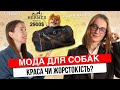 Собачья роскошь - Интервью об одежде для собак с DogLogica