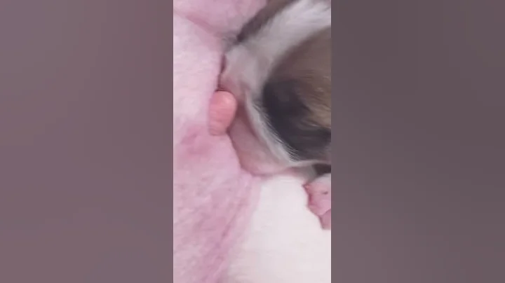 So cute