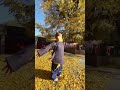 SANBAO And The Season Of AUTUMN Shorts SANBAO And The Season Of AUTUMN Shorts