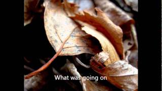 Give Me Back My Love