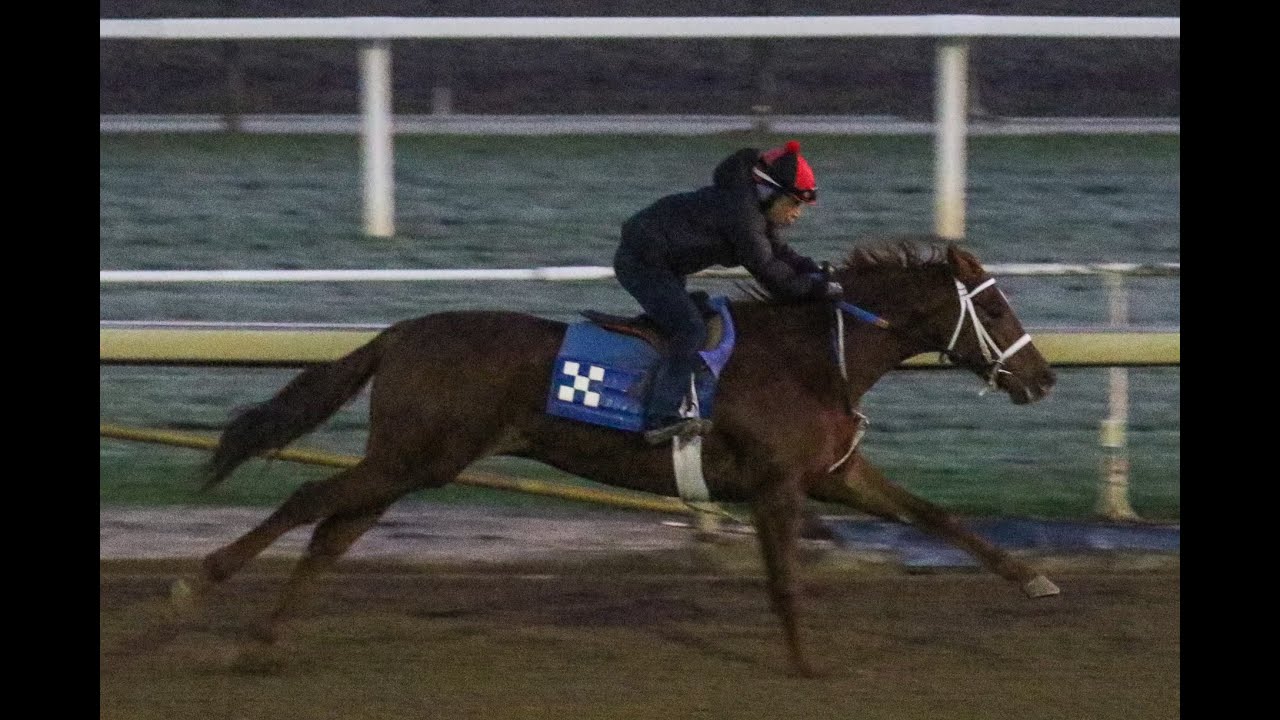 Our Kentucky Rose: Rosie’s with Heather at Darby Dan.