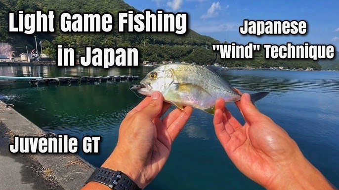 Bait Finesse Light Rock Fishing in Japan - BFS LRF Free Rig 