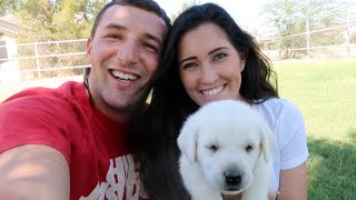 THE NEWEST MEMBER OF THE FAM!!