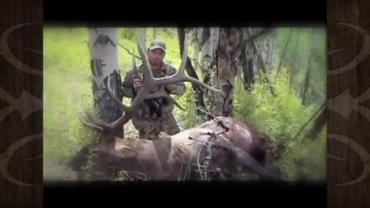 Archery Elk Hunt in Utah Nick Mundt MossBack YouTube