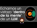 Inspeccionamos cómo "piensa" un LLM usando los logs de llama.cpp