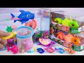 [Toy asmr]RC Turtle + Nemo’s Aquarium &amp; Zuru Robo Fish&amp;Harp's Aquarium ASMR Satisfying with Unboxing