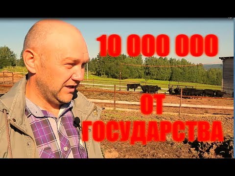 Личный опыт получения гранта. Как получить 10 млн рублей от государства.