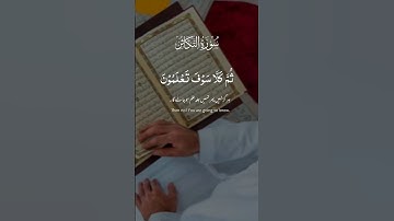 سورة التكاثر #الظروف #لايك  #اكسبلور #icandothisallday #العظماء #الرحمن #دويتو