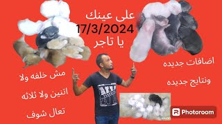 تعال شوف عدد واحجام) خلفات الارانب مش ولده؟ ولا اثنين ولا ثلاثه صنايعي ارانب/وما ترميش فشلك على حد