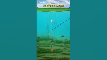 Cách cân phao câu đài cân 4 câu 2 nhé ae.