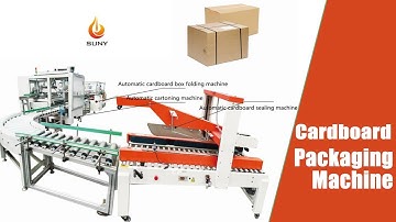 Automatic wet wipes cartoning packaging machine | Box packing machine | cardboard box packing