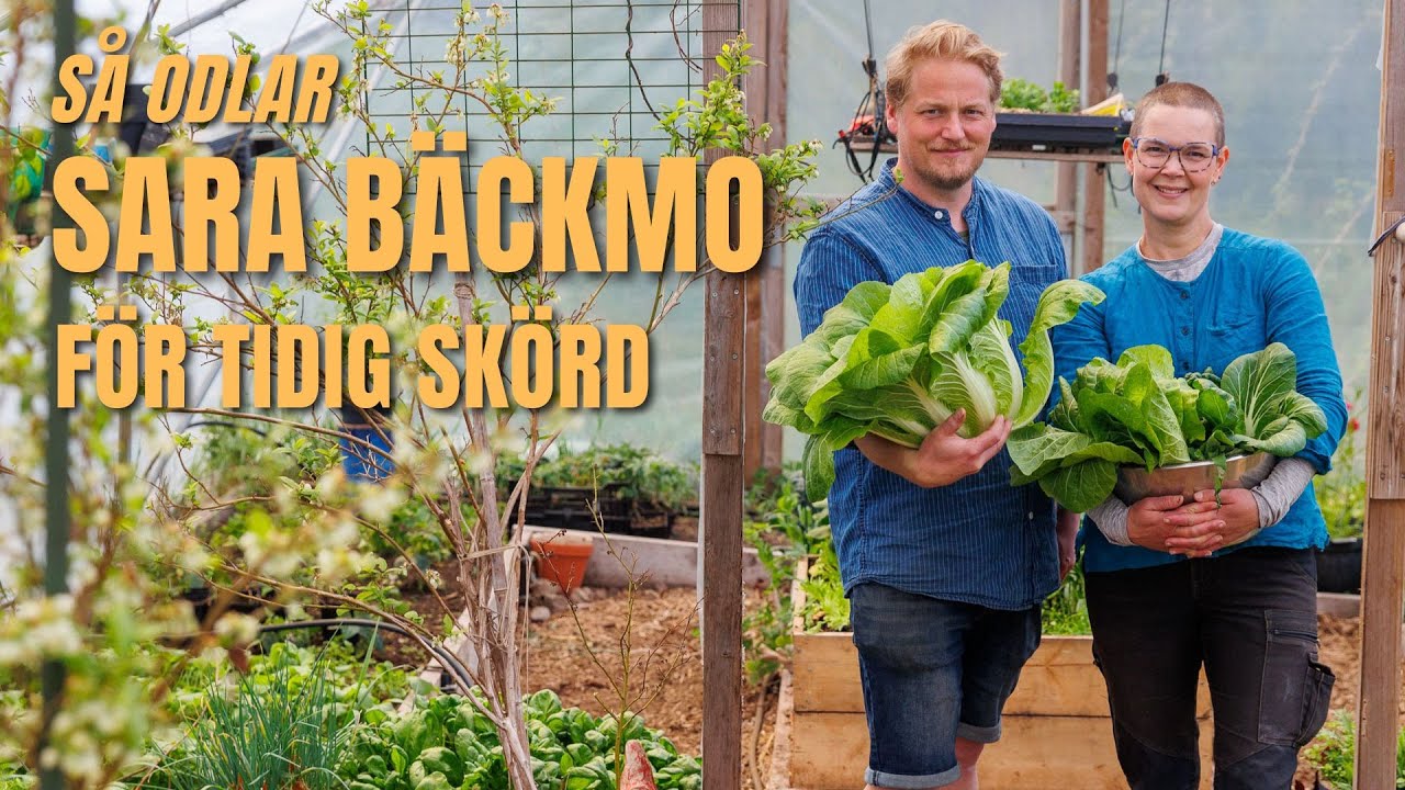 Sara Bäckmo självförsörjande på grönsaker redan i April - GjordNära hälsar på.