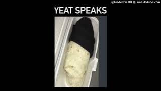 Yeat - Stupid Rich Shyt - Acapella/Vocals