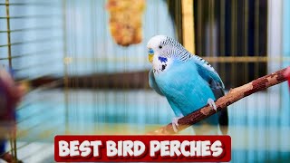 Perch Paradise: Discovering the Best Bird Perches for Comfort, Health, and Happy Feathers! by Pet Needs 25 views 1 month ago 12 minutes, 47 seconds