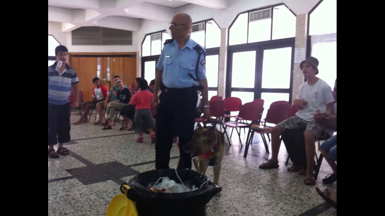 נופשון שומרון קייטנת קיץ התשעד