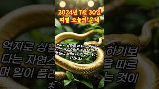 오늘의운세 2024년7월30일 화요일 뱀띠 오늘의 운세 #띠별운세 #재물운 #금전운