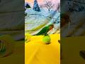 Bird Training:smart lovebird parrot l smart little cute parrot #training#smartparrot#cute