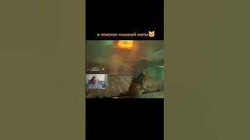 The Search for Catnip🐱 short #shorts