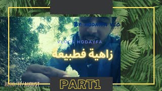 اجي تشوف كيدوزنا اليوم ديالنا  قصينا لكرموص فلوق Vlogs #1 بروتيني اليومي حلال طيبا هه