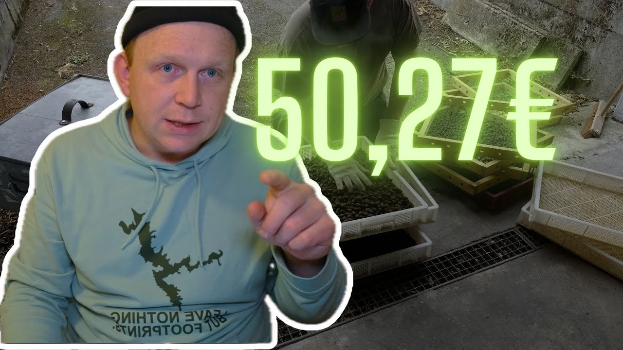 Boilies selber machen - Lohnt sich das überhaupt oder doch lieber kaufen?