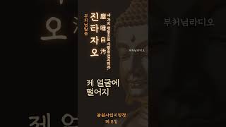 진타자오(塵唾自汚) | 티끌이나 침은 자신을 오염시킨다 | 부처님말씀 | 석가모니명언 | 인생지혜 | 명상의말씀