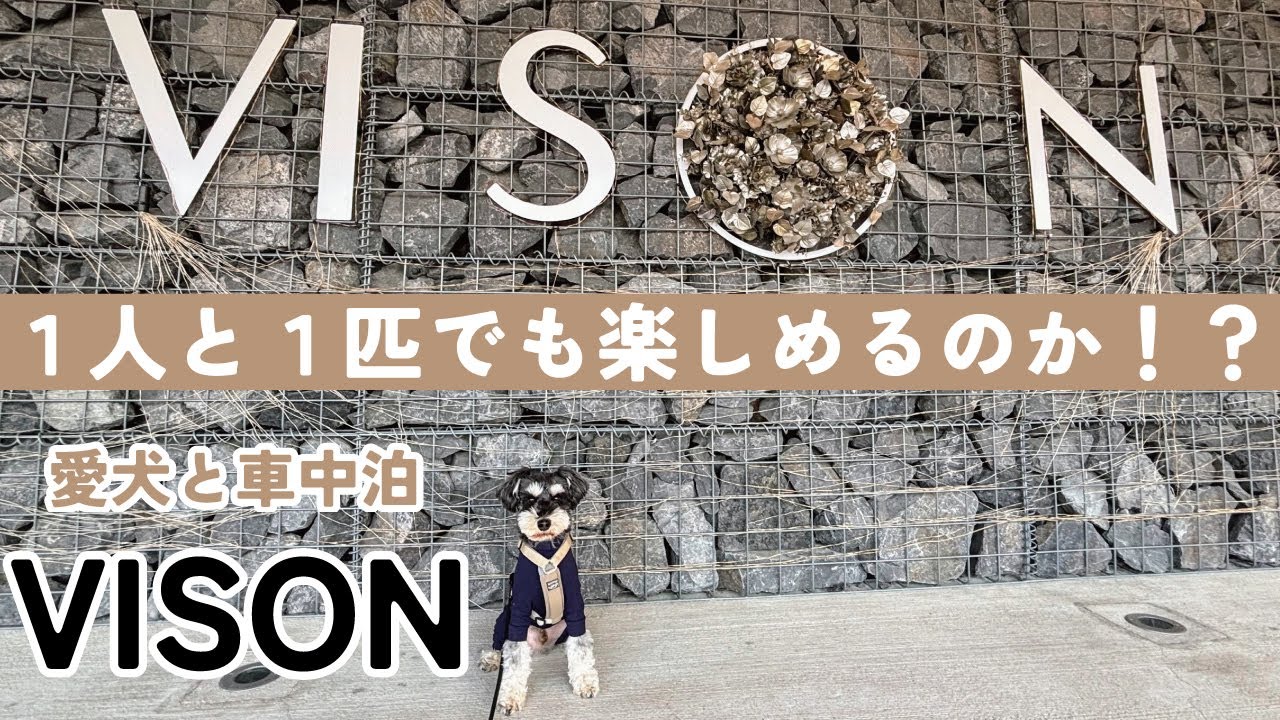 【犬と車中泊】VISONは１人と１匹でも楽しめるのか！？【VISON RVパーク】