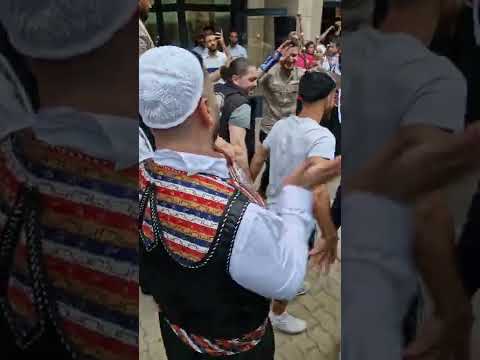 العارضه الشاميه في ألمانيا مدينة دريسدن