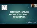Respuesta inmune frente a un parasito intestinal (helminto)
