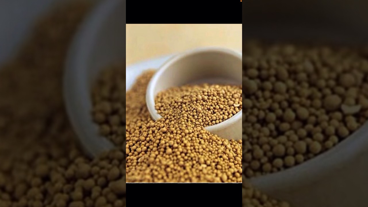 Польза пивных дрожжей - YouTube