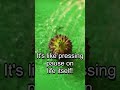 Nature's Ultimate Plant Resurrections!