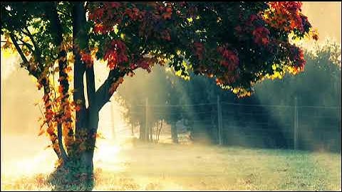 صوت يريح الاعصاب ويهدي القلوب روائع التلاوات يوسف الصقير