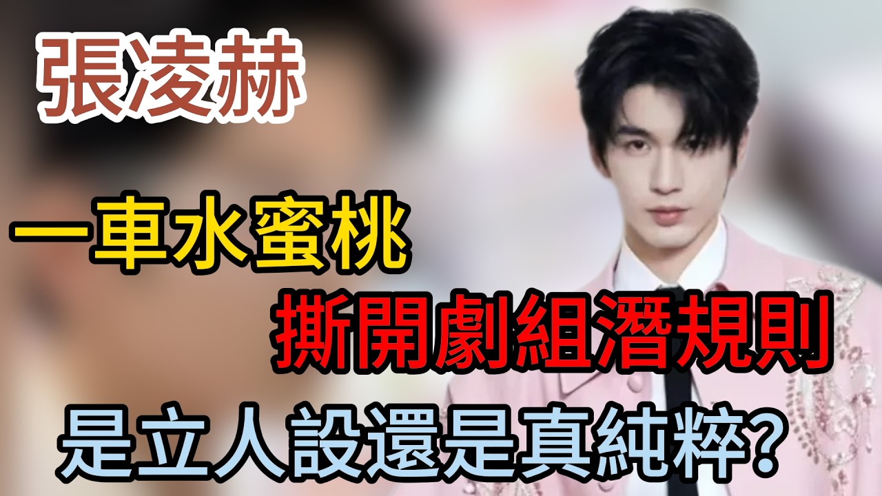 張凌赫一車水蜜桃撕開劇組潛規則！從百萬賠償到人人平等，他憑什麼能讓底層工作人員集體破防？#張凌赫 #张凌赫 #娛樂圈八卦