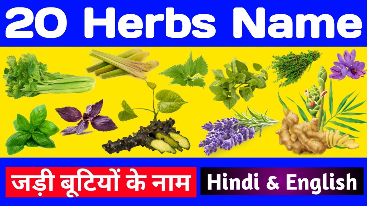 20 herbs name, 20 जड़ी बूटियों (औषधियों) के नाम, herbs name, herbs plants, medicinal plants name