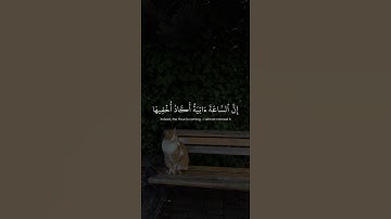 اكتب شئ تؤجر عليه 📿|| القارئ: شريف مصطفى