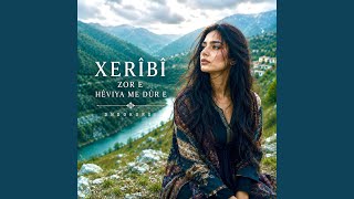 XERÎBÎ ZOR E (غاريبي زوره) - DNDO KURDİ
