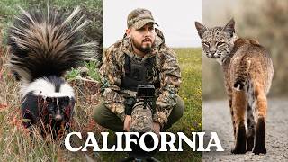 Pasé 2 días Fotografiando Aves durante la Primavera en California🐦🦨⛰️