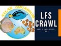 Atlas Aquariums - QLD LFS Crawl