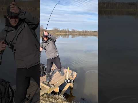 Поймал щуку на кастинг #рыбалка #спиннинг #кастинг #cadence