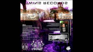 THE TWINS ARTCORE   FREESTAYLERZ