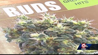 Lee's Summit dispensary will be among first in Missouri to sell medical marijuana
