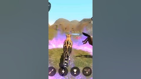 The cheetah using all skills part 10