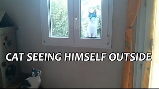 Cat seeing himself outside - how to prank a cat?